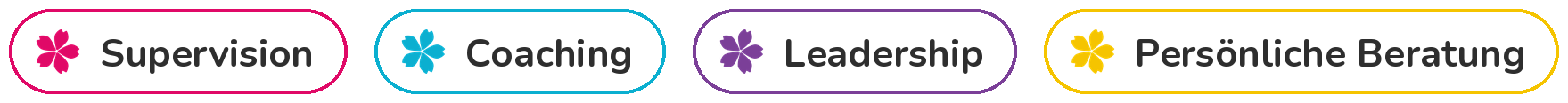 Banner: Supervision Coaching Leadership Persönliche Beratung
